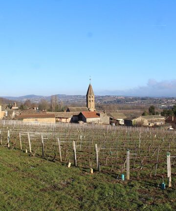 Visiter Saône et Loire